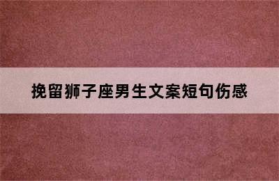 挽留狮子座男生文案短句伤感