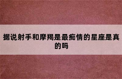 据说射手和摩羯是最痴情的星座是真的吗