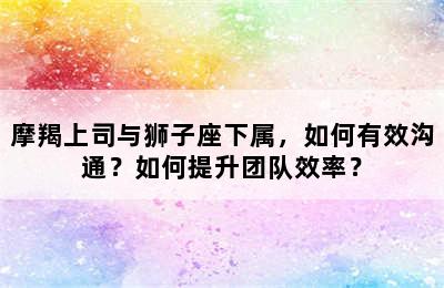 摩羯上司与狮子座下属，如何有效沟通？如何提升团队效率？