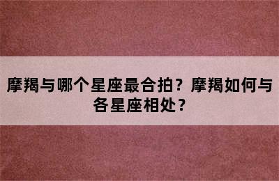 摩羯与哪个星座最合拍？摩羯如何与各星座相处？