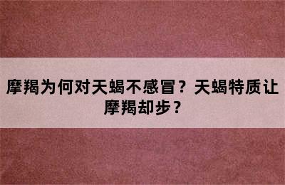 摩羯为何对天蝎不感冒？天蝎特质让摩羯却步？
