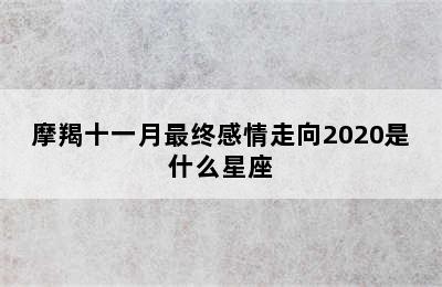 摩羯十一月最终感情走向2020是什么星座