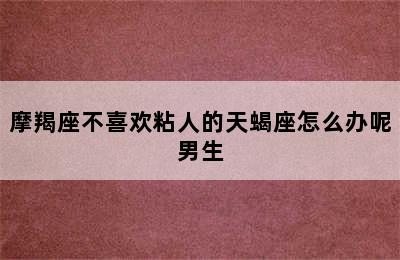 摩羯座不喜欢粘人的天蝎座怎么办呢男生