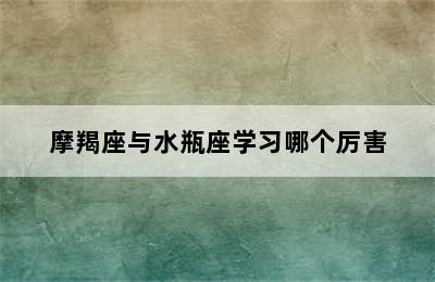 摩羯座与水瓶座学习哪个厉害