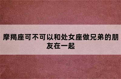 摩羯座可不可以和处女座做兄弟的朋友在一起