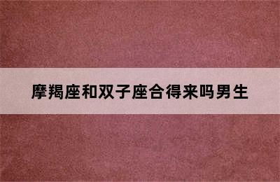 摩羯座和双子座合得来吗男生