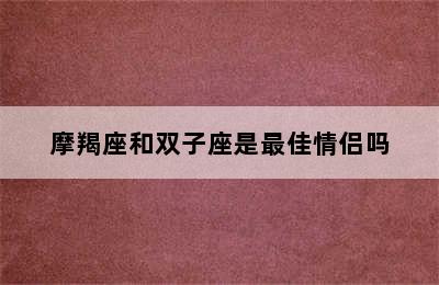 摩羯座和双子座是最佳情侣吗