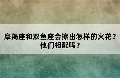 摩羯座和双鱼座会擦出怎样的火花？他们相配吗？