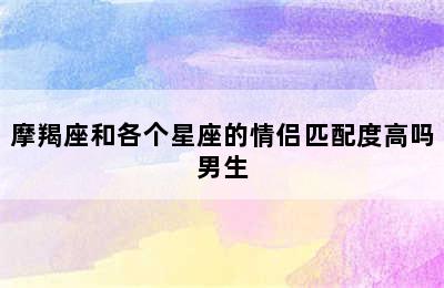 摩羯座和各个星座的情侣匹配度高吗男生