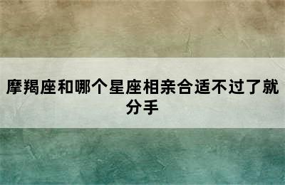 摩羯座和哪个星座相亲合适不过了就分手