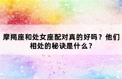 摩羯座和处女座配对真的好吗？他们相处的秘诀是什么？