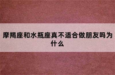 摩羯座和水瓶座真不适合做朋友吗为什么