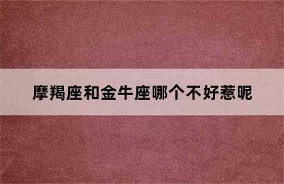 摩羯座和金牛座哪个不好惹呢