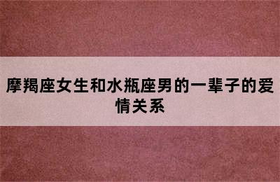 摩羯座女生和水瓶座男的一辈子的爱情关系