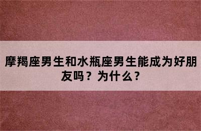 摩羯座男生和水瓶座男生能成为好朋友吗？为什么？