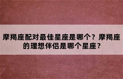摩羯座配对最佳星座是哪个？摩羯座的理想伴侣是哪个星座？