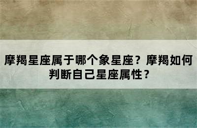 摩羯星座属于哪个象星座？摩羯如何判断自己星座属性？