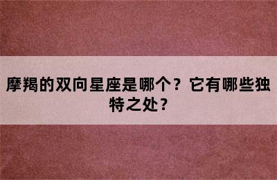 摩羯的双向星座是哪个？它有哪些独特之处？