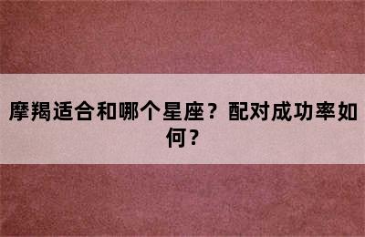 摩羯适合和哪个星座？配对成功率如何？