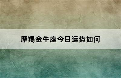 摩羯金牛座今日运势如何