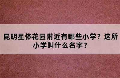 昆明星体花园附近有哪些小学？这所小学叫什么名字？