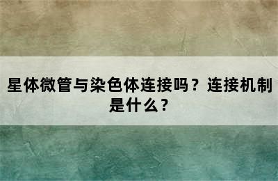 星体微管与染色体连接吗？连接机制是什么？