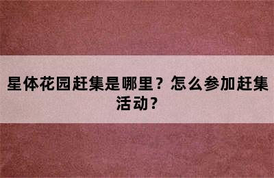 星体花园赶集是哪里？怎么参加赶集活动？