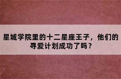 星城学院里的十二星座王子，他们的寻爱计划成功了吗？