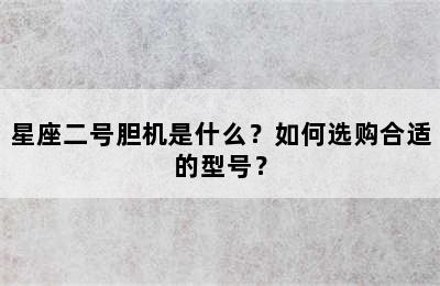 星座二号胆机是什么？如何选购合适的型号？