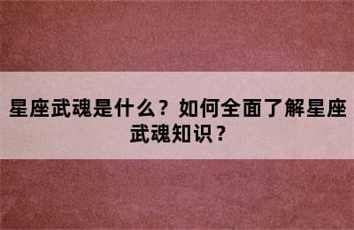 星座武魂是什么？如何全面了解星座武魂知识？