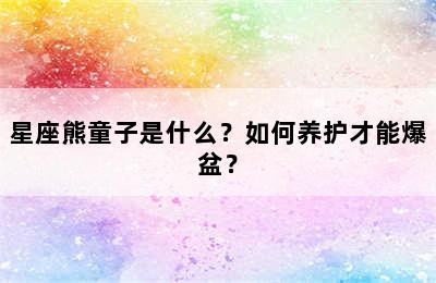 星座熊童子是什么？如何养护才能爆盆？
