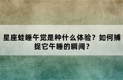 星座蛙睡午觉是种什么体验？如何捕捉它午睡的瞬间？