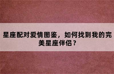星座配对爱情图鉴，如何找到我的完美星座伴侣？