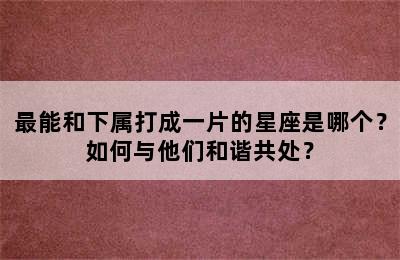 最能和下属打成一片的星座是哪个？如何与他们和谐共处？