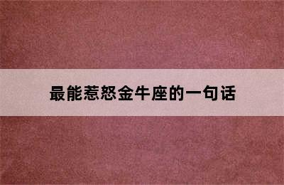 最能惹怒金牛座的一句话