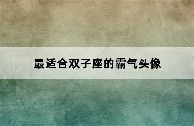 最适合双子座的霸气头像