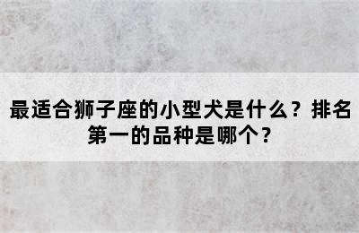 最适合狮子座的小型犬是什么？排名第一的品种是哪个？