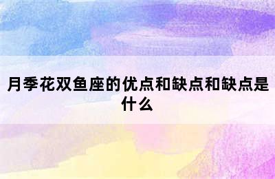 月季花双鱼座的优点和缺点和缺点是什么