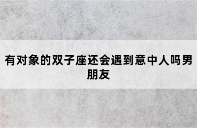 有对象的双子座还会遇到意中人吗男朋友