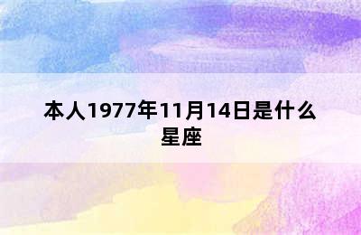 本人1977年11月14日是什么星座