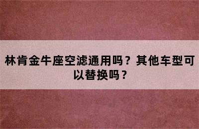 林肯金牛座空滤通用吗？其他车型可以替换吗？