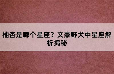 柚杏是哪个星座？文豪野犬中星座解析揭秘