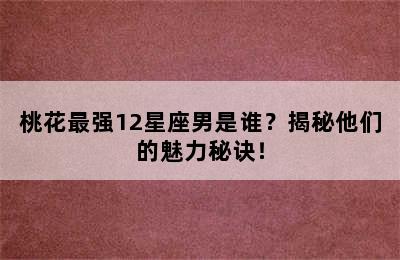 桃花最强12星座男是谁？揭秘他们的魅力秘诀！