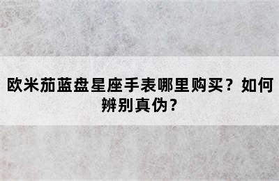 欧米茄蓝盘星座手表哪里购买？如何辨别真伪？