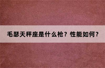 毛瑟天秤座是什么枪？性能如何？