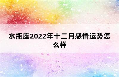 水瓶座2022年十二月感情运势怎么样