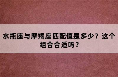 水瓶座与摩羯座匹配值是多少？这个组合合适吗？