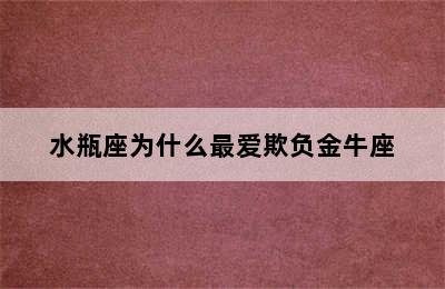 水瓶座为什么最爱欺负金牛座