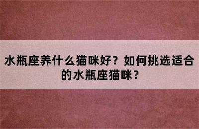 水瓶座养什么猫咪好？如何挑选适合的水瓶座猫咪？