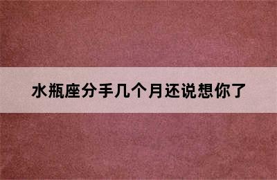 水瓶座分手几个月还说想你了